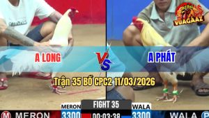 Trận 35 Bồ CPC2 11/3/2026 - Bướm Canh Chặn Đâm Cây Đầu Úa Gục Tại Chỗ