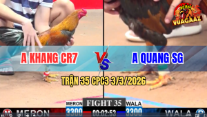 Trận 35 Bồ CPC2 3/3/2026 - Đỏ Đá Xanh Hư Hết Xanh Gồng Đá Đỏ Té Phút Cuối