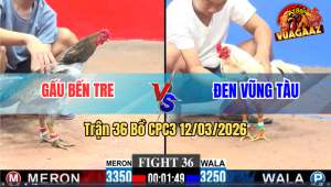 Trận 36 Bồ CPC3 12/3/2026 - Xanh Đá Tốc Độ Đâm Đỏ Không Kịp Dở Chân