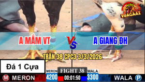 Trận 38 Bồ CPC3 3/3/2026 - Bướm Đâm 1 Cặp Ngực Điều Ói Chết Tại Chỗ