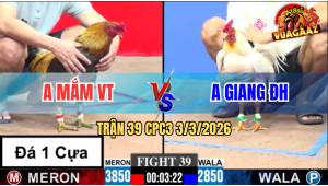 Trận 39 Bồ CPC3 3/3/2026 - Úa Chấp 1 Kí Vẫn Về Bờ Thành Công