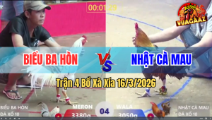 Trận 4 Bồ Xà Xía 16/3/2026 - Khét Nhẹ Hơn Mấy Chấm Vẫn Hạ Gà Đỏ Nhanh Gọn