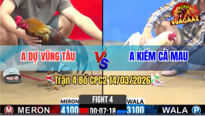 Trận 4 Bồ CPC2 14/3/2026 - Bướm Chấp Ngông Bị Điều Đá 3 Chân Nằm Liệt