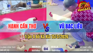 Trận 4 Bồ Xà Xía 15/3/2026 - Đỏ Dở Giò Là Đâm Xanh Lọt Cựa Hết Đường Phản