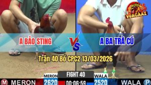 Trận 40 Bồ CPC2 13/3/2026 - Điều Đuôi Lao Siết Đúng 1 Tay Nước Đâm Idol Lật Xe