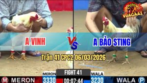 Trận 41 Bồ CPC2 6/3/2026 - Úa Lì Đòn Gồng Đâm Bướm Cưng MÌnh Bỏ Chạy