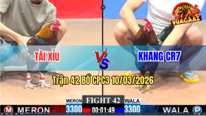 Trận 42 Bồ CPC3 10/3/2026 - Đỏ Siết Đúng 1 Tay Nước Rinh Xanh Ra Ngoài