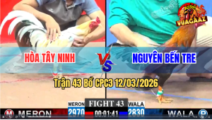 Trận 43 Bồ CPC3 12/3/2026 - Bướm Dí Bạc Aưn 5 Buông Ra Xanh Đá Mấy Chân Té
