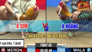 Trận 43 Bồ CPC2 6/3/2026 - Khét Chấp Ngông Vẫn Hạ Điều Về Nhẹ Nhàng