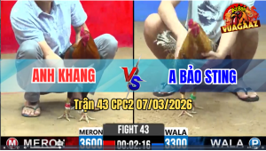 Trận 43 CPC2 7/3/2026 - Điều Quá Khôn Đâm Cú Lọt Cây Bỏ Chạy Bay Bồ