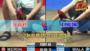 Trận 45 Bồ CPC2 11/3/2026 - Xanh Buông Đuôi Đá Đúng Cặp Ngực Đỏ Té Tại Chỗ