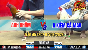 Trận 45 CPC2 7/3/2026 - Bướm Kiểm Gặp Điều Cọp Khó Về