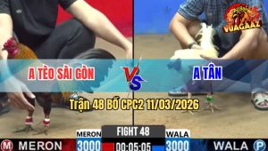 Trận 48 Bồ CPC2 11/3/2026 - Úa Chưa Thả Đá Ăn 5 Buông Ra Khét Đá Mấy Chân Gãy Dò