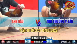Trận 48 Bồ CPC3 10/3/2026 - Đỏ Đá Là Đâm Xanh Lật Xe Hết Sửa