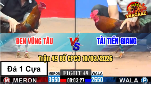 Trận 49 Bồ CPC3 10/3/2026 - Xanh Chấp Ngông Và Cái Kết Chạy Bung Bồ