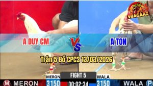 Trận 5 Bồ CPC2 13/3/2026 - 2 Con Gồng Phút 90 Bỏ Mặt Hòa