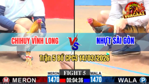 Trận 5 Bồ CPC3 14/3/2025 - Gà Xanh Đá Chân Nào Cũng Nghiệt Xám Về Sau Chịu Hết Nổi