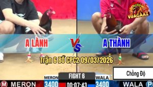 Trận 6 Bồ CPC2 9/3/2026 - Khét Đá Que Xách Xe Đi Cầm