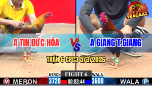 Trận 6 Bồ CPC3 5/3/2026 - Điều Đá Cây Lưng Que Lọt Ói Bỏ Chạy