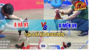 Trận 6 Bồ Xà Xía 8/3/2026 - Điều Anh Mễn Vô Dàn Nạp Nóng Lạnh Chủ Bồ Xách Đuôi Ra Khỏi Bồ