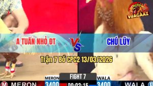 Trận 7 Bồ CPC2 13/3/2026 - Chuối Đá Cây Cựa Nghiệt Đâm Camelo Hư Hình Bỏ Chạy