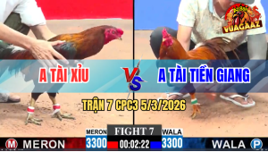 Trận 7 Bồ CPC3 5/3/2026 - Khét Gồng Phút Cuối Đâm Điều Nhớ Mẹ