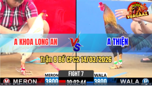 Trận 7 Bồ CPC2 14/3/2026 - Điều Khôn Khéo Tránh Né Đâm Bướm Cây Lọt Ói