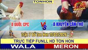 Trận 7 Bồ Ton Hon 11/3/2026 - Bướm Quá Trâu Gồng Tới Phút 90 Ăn Ngược Gà Điều