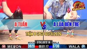 Trận 8 CPC3 03/3/2026 - Điều Bươi Chà Như Cái Máy Đâm Úa Té Tuyệt Đối