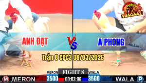 Trận 8 CPC3 8/3/2026 - Bướm Đỏ Quá Trâu Tải Cựa Tới Phút 90 Xanh Thua Ngược