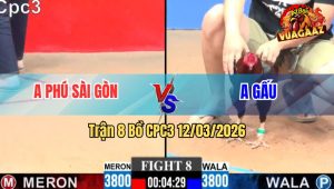 Trận 8 Bồ CPC3 12/3/2026 - Điều Chán Trắng Canh Chặn Đâm Uá Cây Ói Xỉu