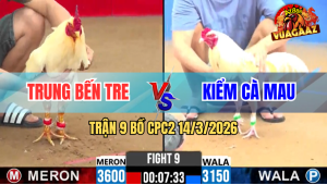 Trận 9 Bồ CPC2 14/3/2026 - Đỏ Đá Như Cây Đấp Nhấp Mấy Chân Đâm Xanh Gãy Dò