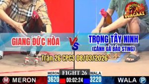 Trận 26 CPC3 08/03/2026