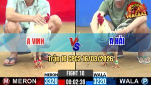 Trận 10 CPC2 16/03/2026 - Bướm Đá Cây Cần Đâm Uá Té Xòe Đui