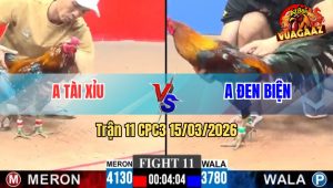 Trận 11 CPC3 15/03/2026 - Bướm Tốc Độ Đá Điều Xỉu Tại Ô