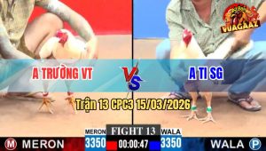 Trận 13 CPC3 15/03/2026 - Úa Đá Bướm Còn Ăn 1 Bướm Đá Chân Phản Lại Luôn