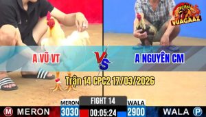 Trận 14 CPC2 17/03/2026 - Chuối Đá Chân Nòa Cũng Đâm Bướm Cứng Mình Phá Đôi Xỉu