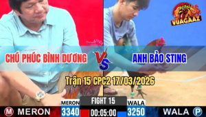 Trận 15 CPC2 17/03/2026 - Điều Cọp Chú Phút Đá 1 Tay Nước Rinh Que Idol Ra Sân