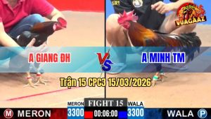 Trận 15 CPC3 15/03/2026 - Xanh Đá Ăn 6 Buông Ra Đỏ Đâm Cái Đầu Máu Không