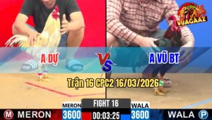 Trận 16 CPC2 16/03/2026 - Que Nuốt Ói Đá Cú Lọt Cây Nách Xỉu Lại Quá Hay