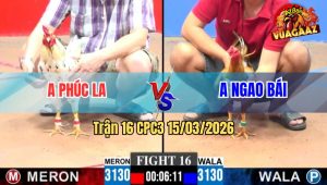 Trận 16 CPC3 15/03/2026 - Khét Chạy Dạt Bướm Đá Cây Nằm Luộn