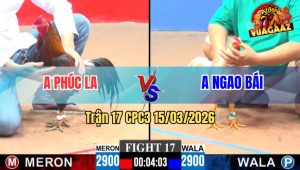 Trận 17 CPC3 15/03/2026 - Điều Chụp Đá Cây Bướm Gục Tại Chỗ Rinh Ra Ngoài