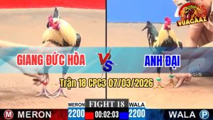 Trận 18 CPC3 07/03/2026