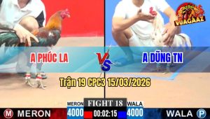 Trận 19 CPC3 15/03/2026 - Cú Đá Điều Muốn Ngáo Điều Đá Lọt Lại Cây Cú ÓI