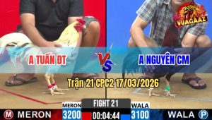 Trận 21 CPC2 17/03/2026 - Que Đá Nhanh Như Điện Mấy Chân Về Bờ Nhẹ Nhàng