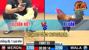 Trận 23 CPC2 16/03/2026 - Kèo Dị Hôm Nay Tại C2