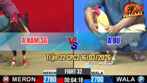 Trận 32 CPC2 16/03/2026 - Bướm Đi Bô Cũng Đâm Điều Mồng Là Hư Hình Chạy Không Kịp