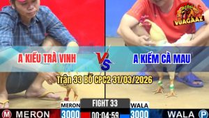 Trận 33 Bồ CPC2 31/3/2026 - Đỏ Đá Chân Phản Xanh Chết 1 Đống Chìm Xuồng Theo