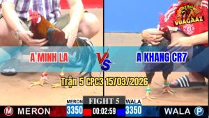 Trận 5 CPC3 15/03/2026 - Xám Đá Đúng 3 Chân Đâm Điều Nằm Tại Chỗ