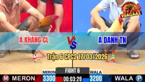 Trận 6 CPC2 17/03/2026 - Uá Chấp 1 Chấm Đá Lọt Cây Điều Tai Biến Té